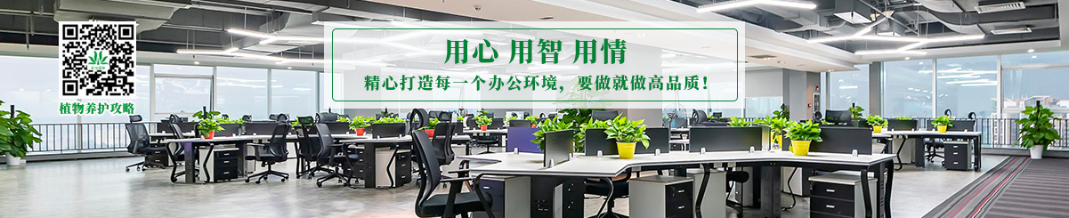 重(zhong)慶植物(wù)租賃