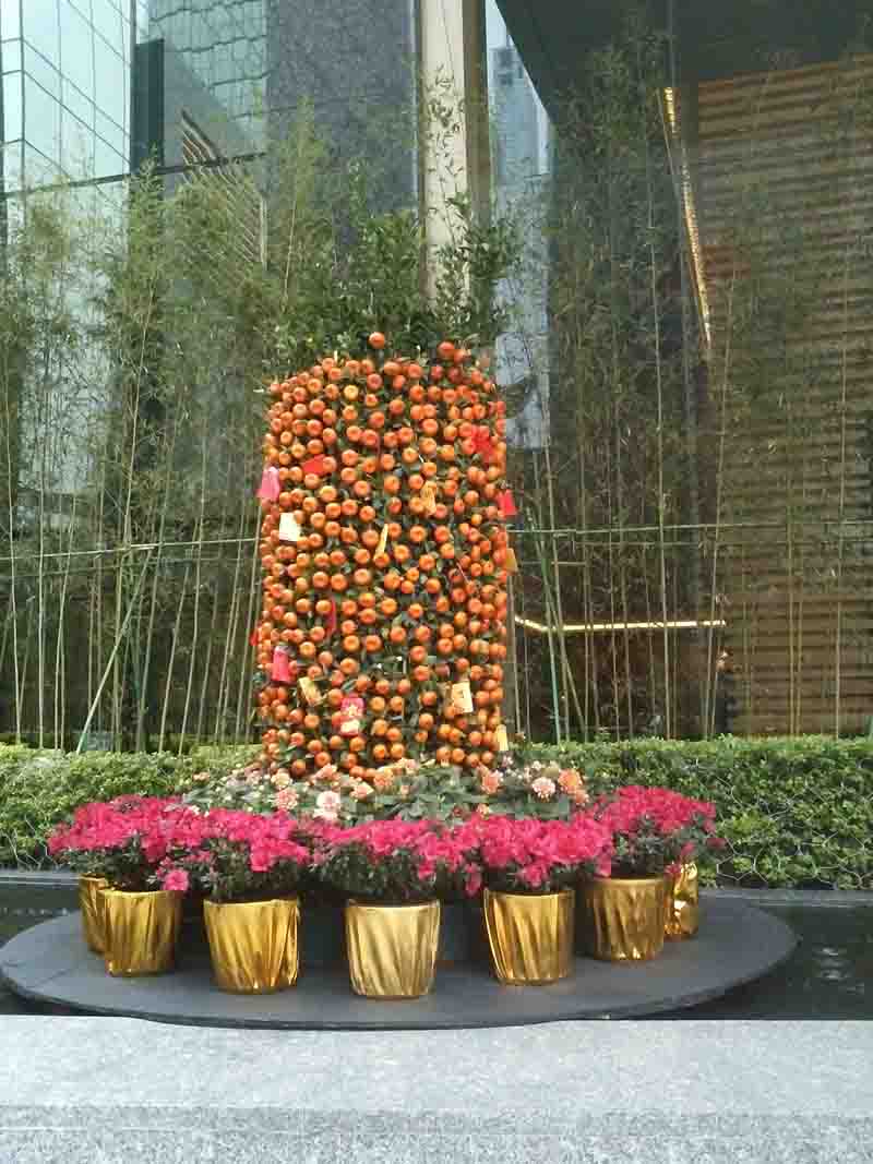 重(zhong)慶植物(wù)租賃